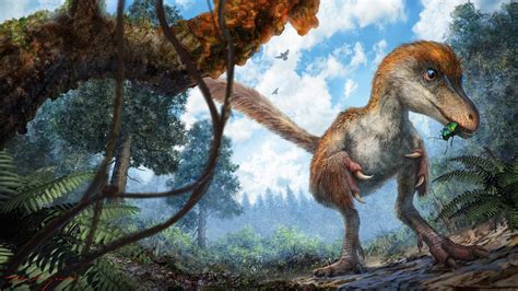How Long Have Dinosaurs Been Extinct