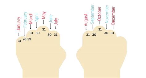 How Many Days in Nine Months: Surprising Truth Revealed