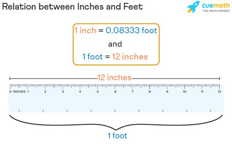 Inch Conversion: 3 Feet to Inches!