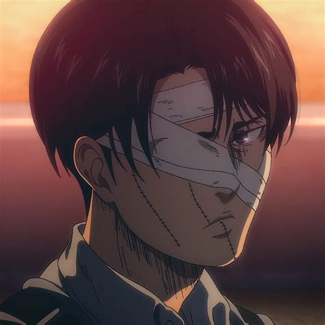 How Tall Is Levi