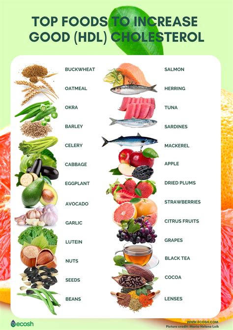 How To Increase Your Hdl