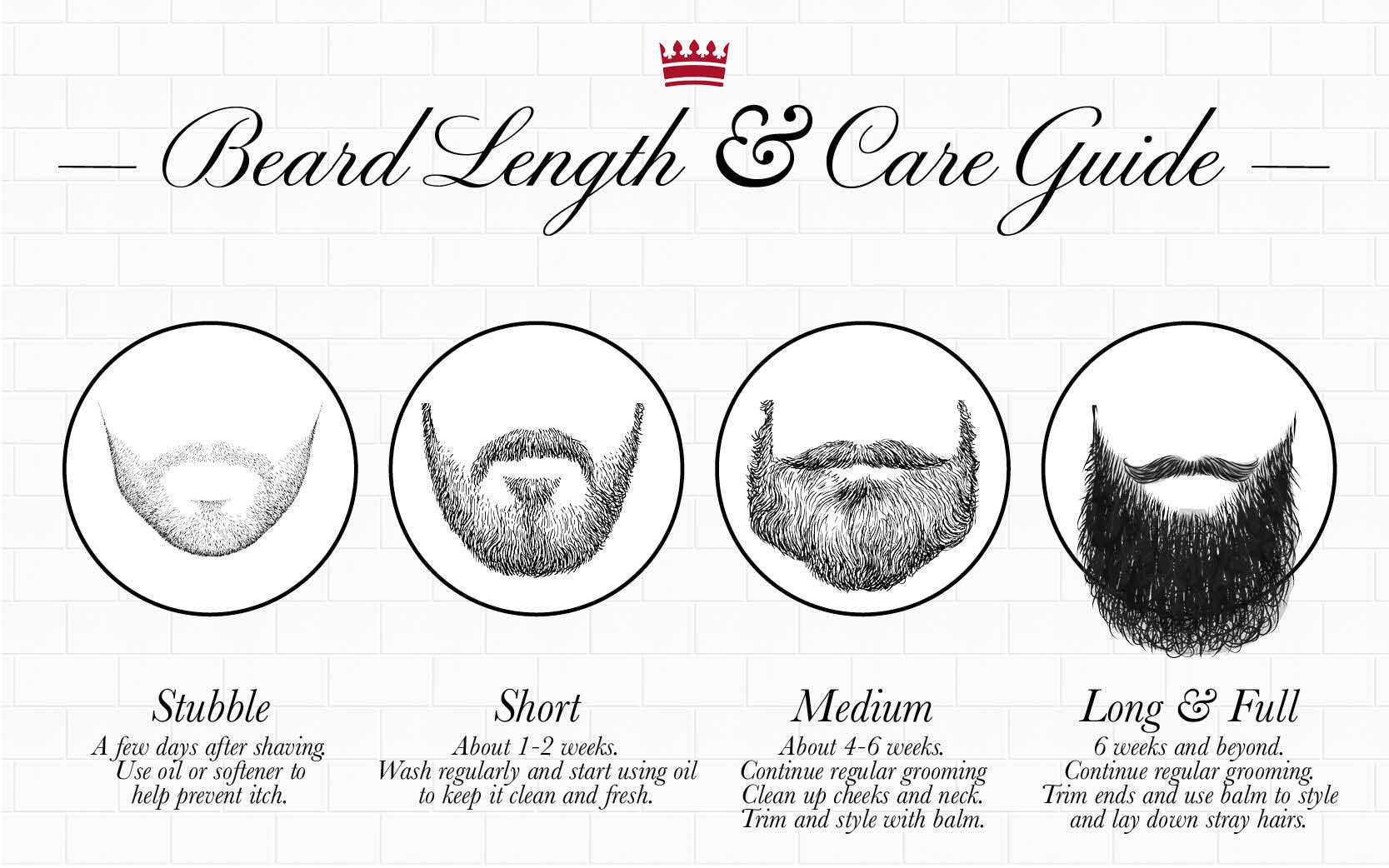 The Ultimate Guide On How To Properly Trim A Beard
