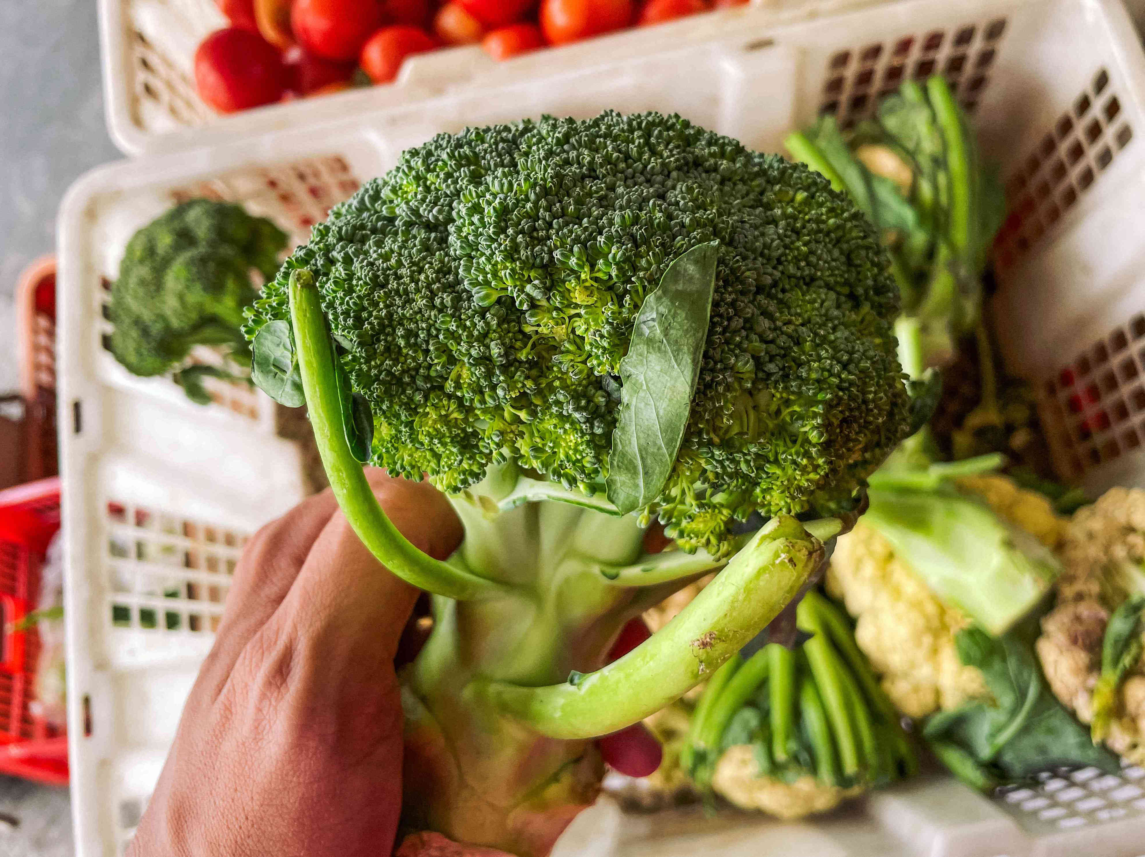 The Right Way To Wash Broccoli Without Making It Soggy