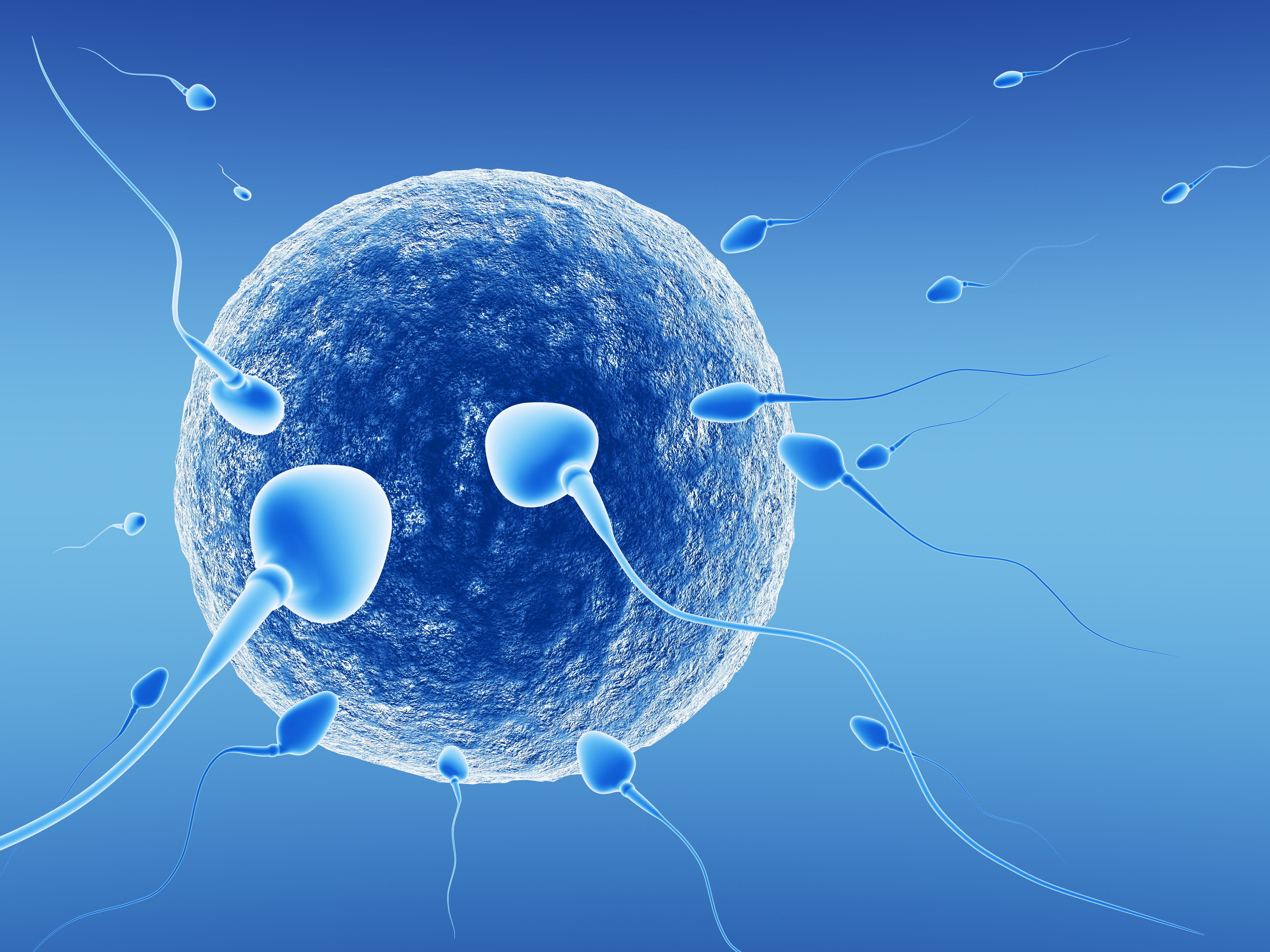 Implantation Bleeding Symptoms