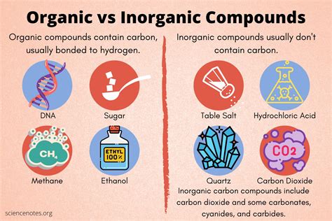 Inorganic vs Organic Compounds: Key Differences Revealed