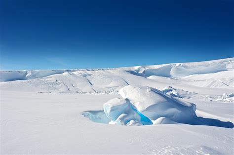 Is Antarctica a Desert Surprising Facts Revealed