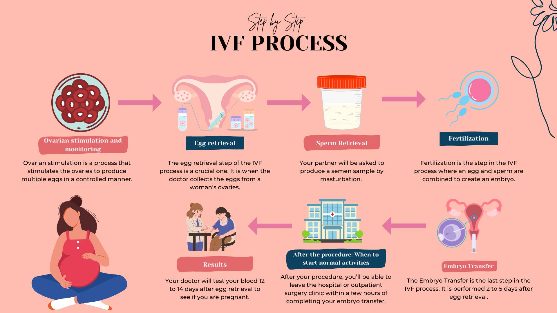Ivf Egg Retrieval