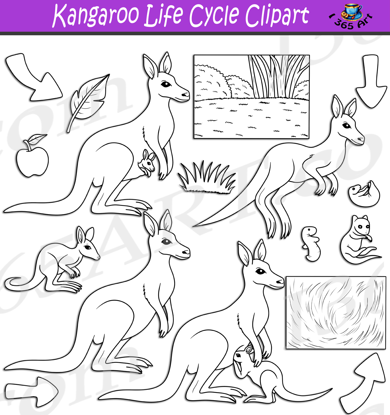 Kangaroo Australia Map