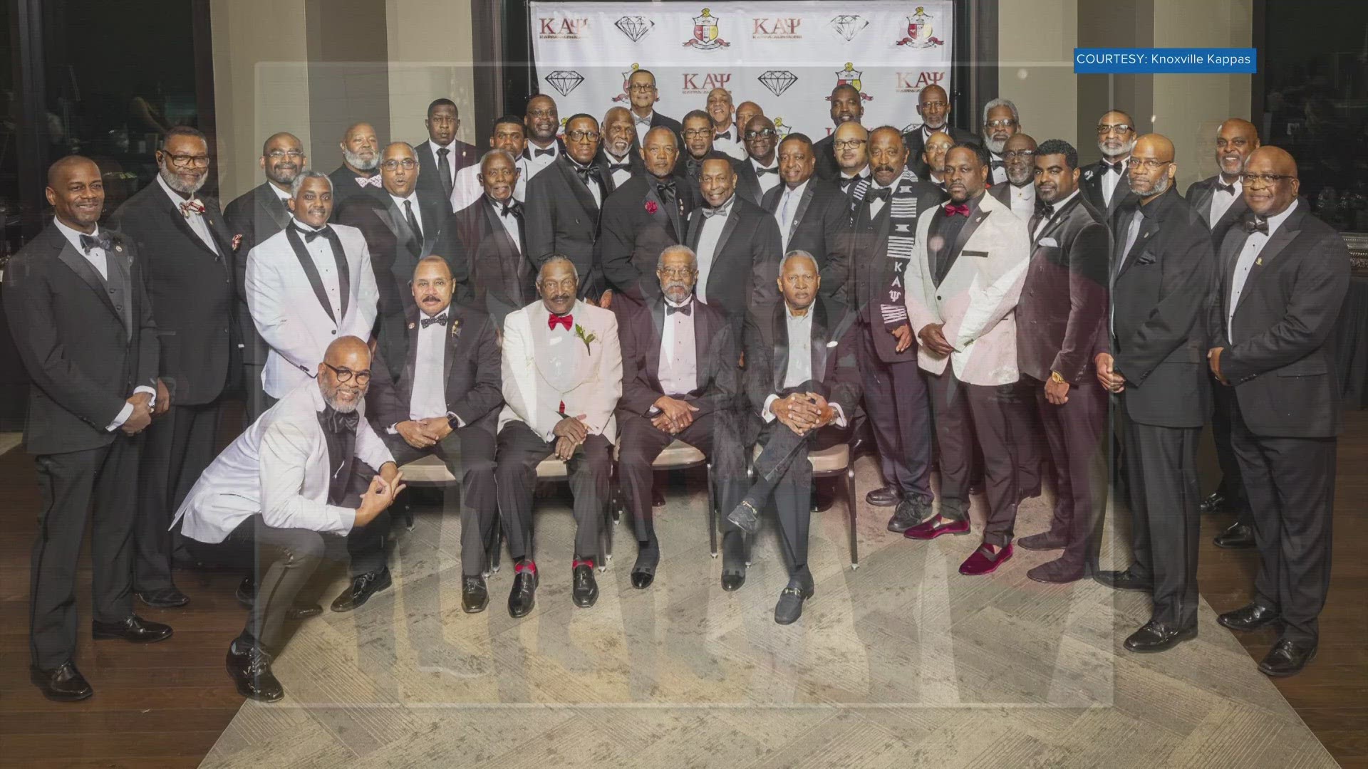 Kappa And Lambda Light Chains
