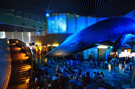 Best Deals on Long Beach Aquarium Tickets for 2023