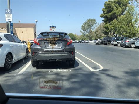 Unlocking the Secrets of Lot 16H Revealed