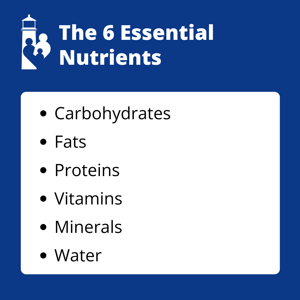 Key Nutrients In Tomatoes You Actually Need For Better Health