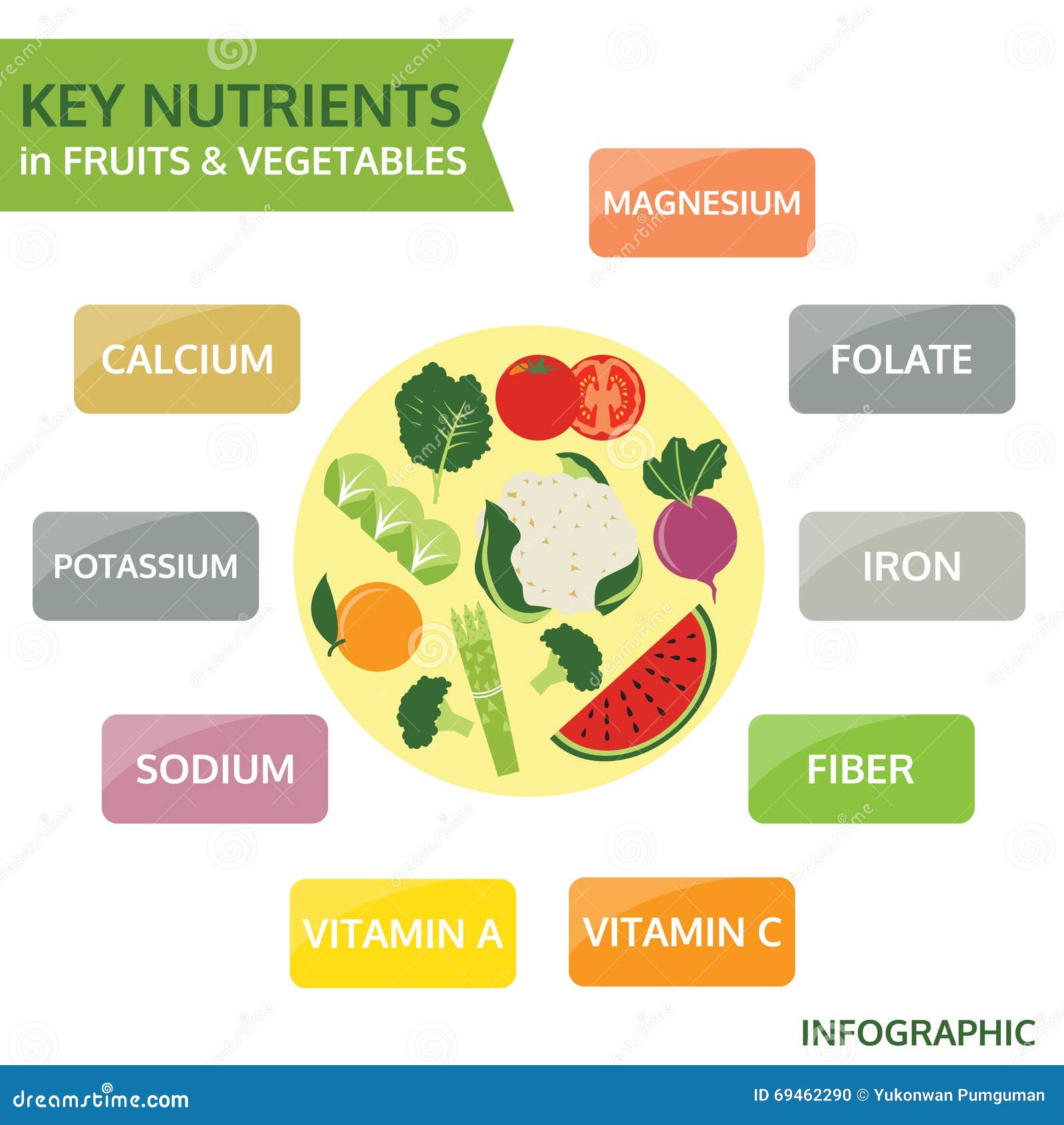 Unlocking The Key Main Nutrients Found In Vegetables