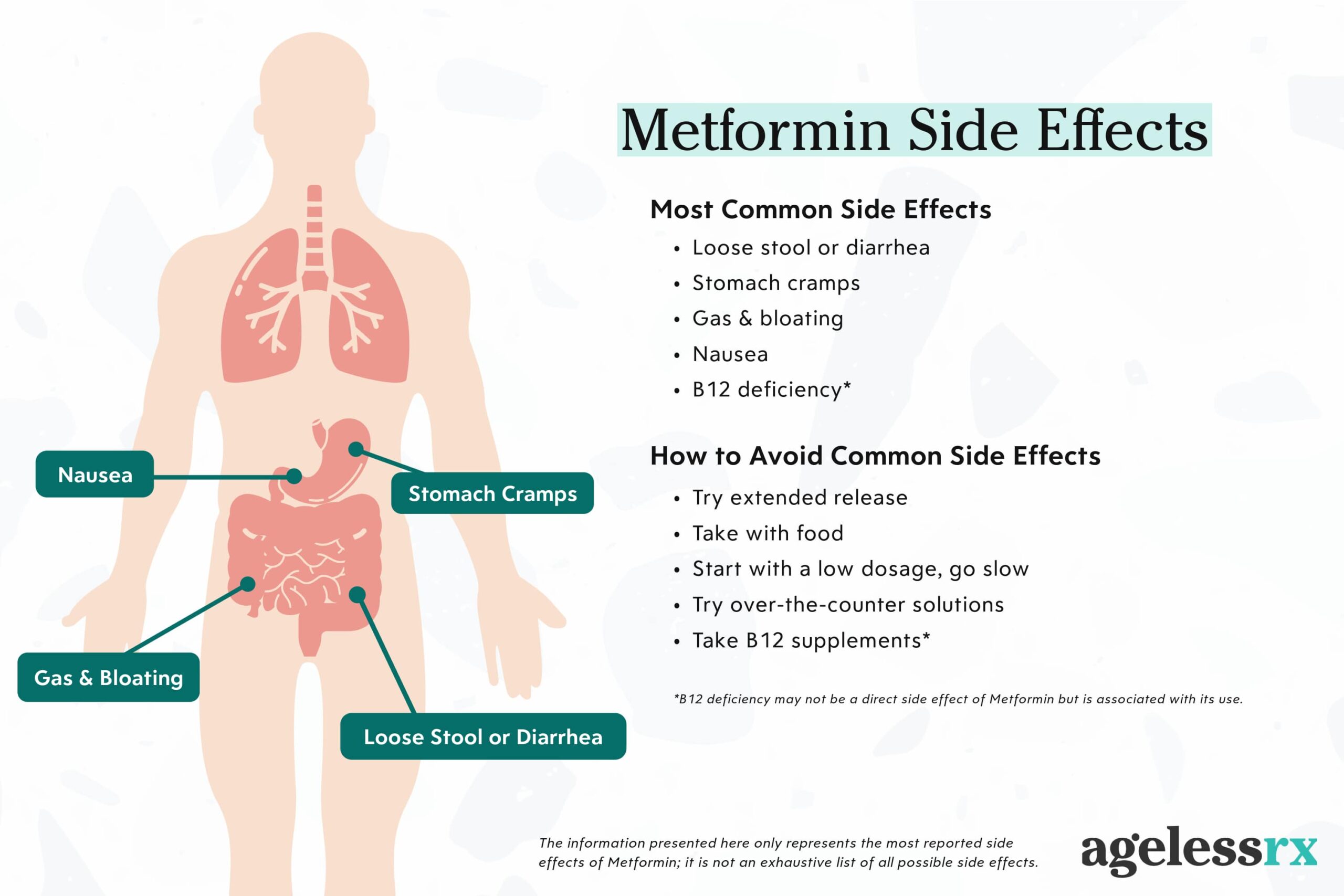 Metformin Does It Affect The Kidneys