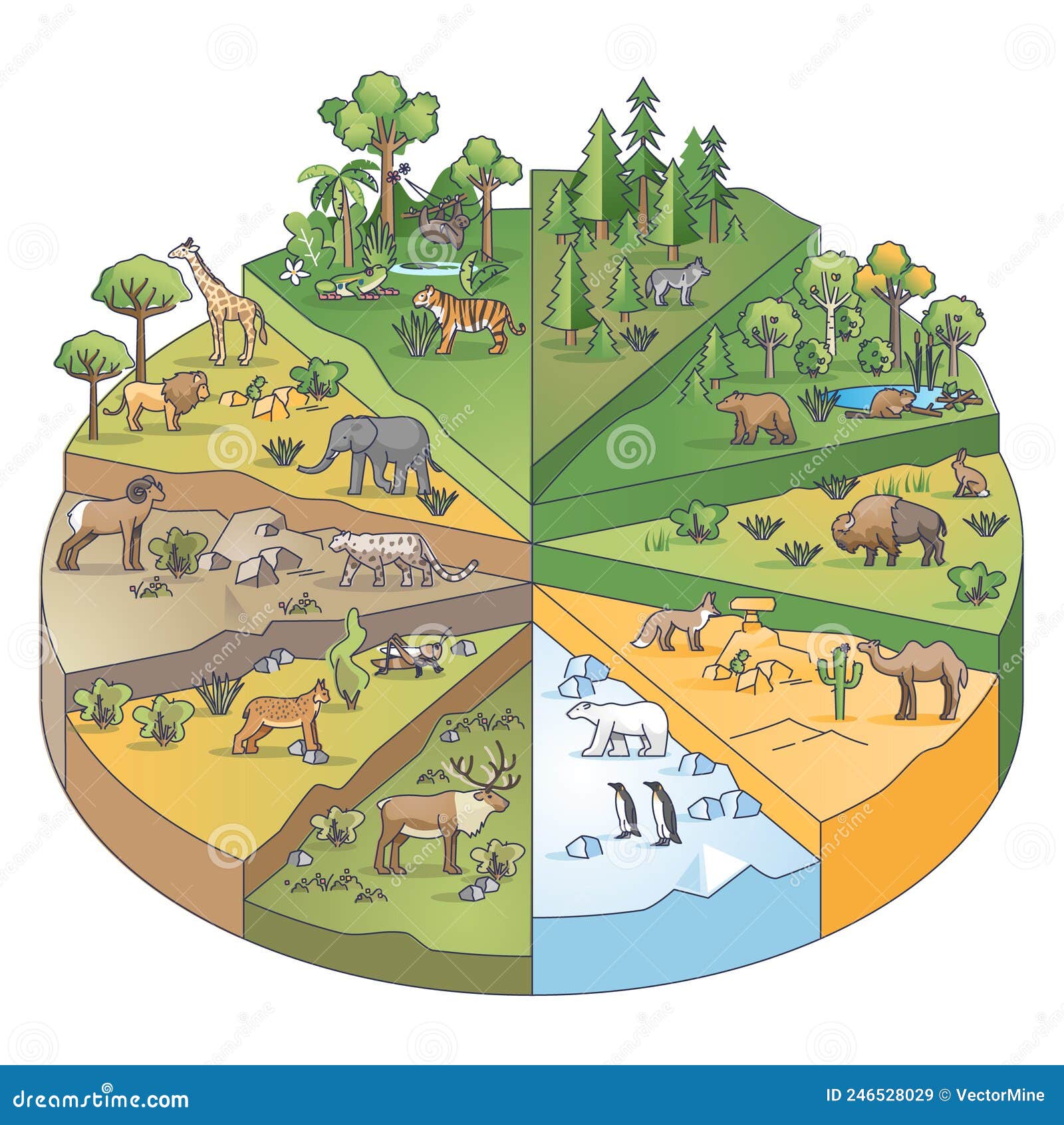 Understanding The Natural Range Of Variability In Your Ecosystem