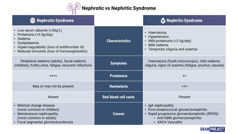 Nephrotic vs Nephrotic Syndrome: Key Differences