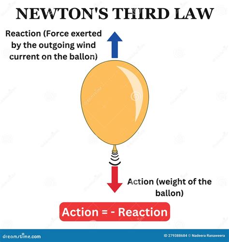 Exploring Real-World Newton's Third Law Example