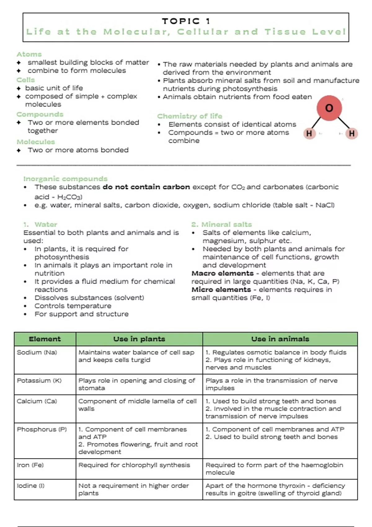 Notes Payable Accounting