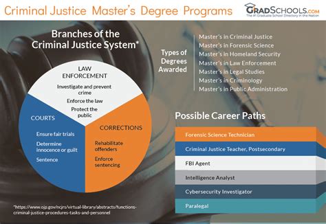 Best Online Criminal Justice Master's Programs Ranked