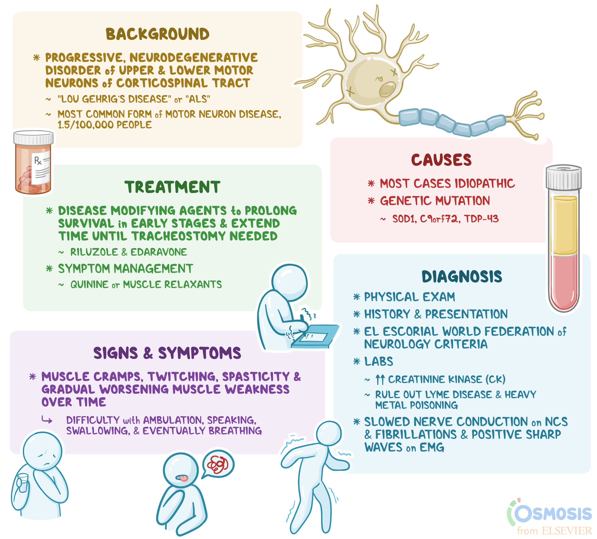 Parathyroid Level Normal Range