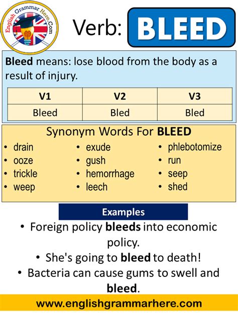 Mastering the Past Tense for Bleed: Essential Grammar Tips You Need