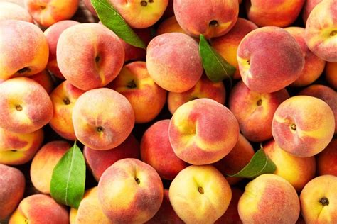 Uncover the Health Benefits and Best Recipes of Peaches