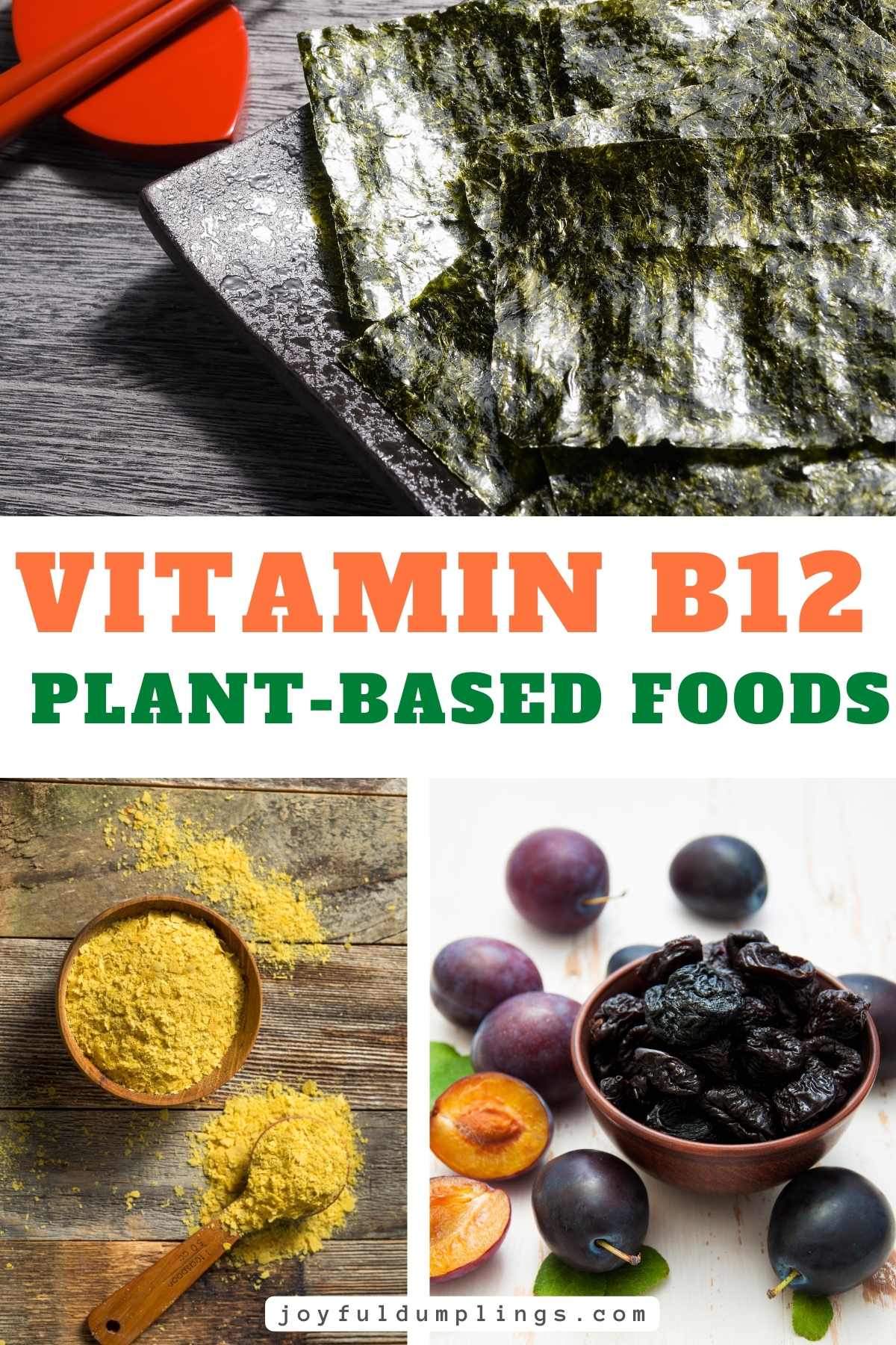 Plantbased Vitamin B: Greatest Plant Sources Explained
