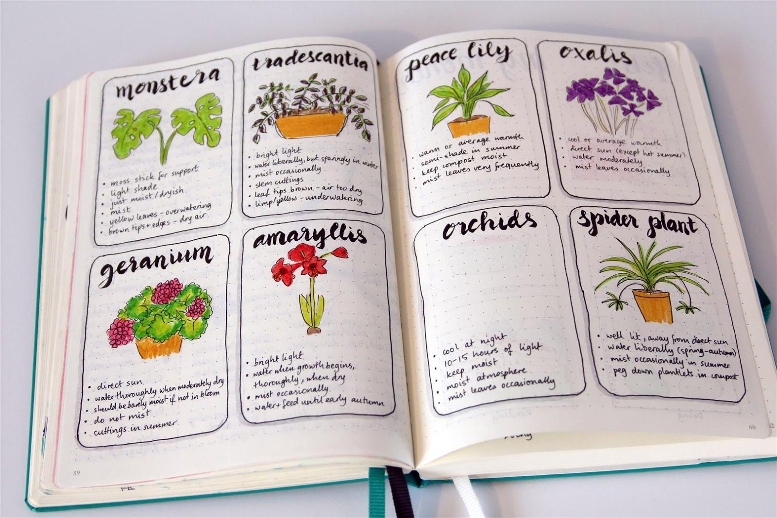I'm A Plant Journal Template Expert + How To Start Your New Gardening Habit