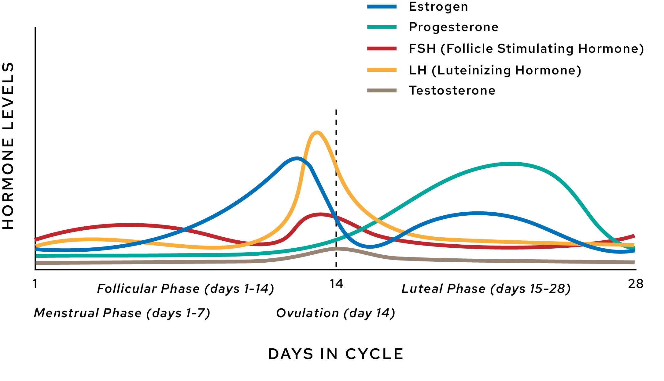 Progesterone Suppositories Symptoms