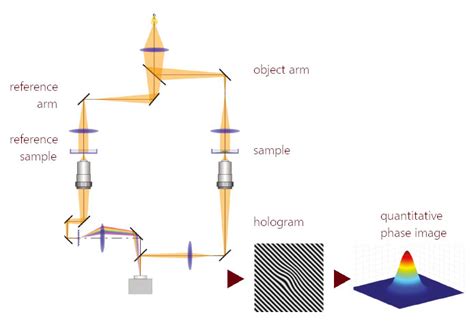 Q Phase Microscopy