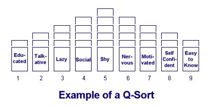 Q Sort Scale Example