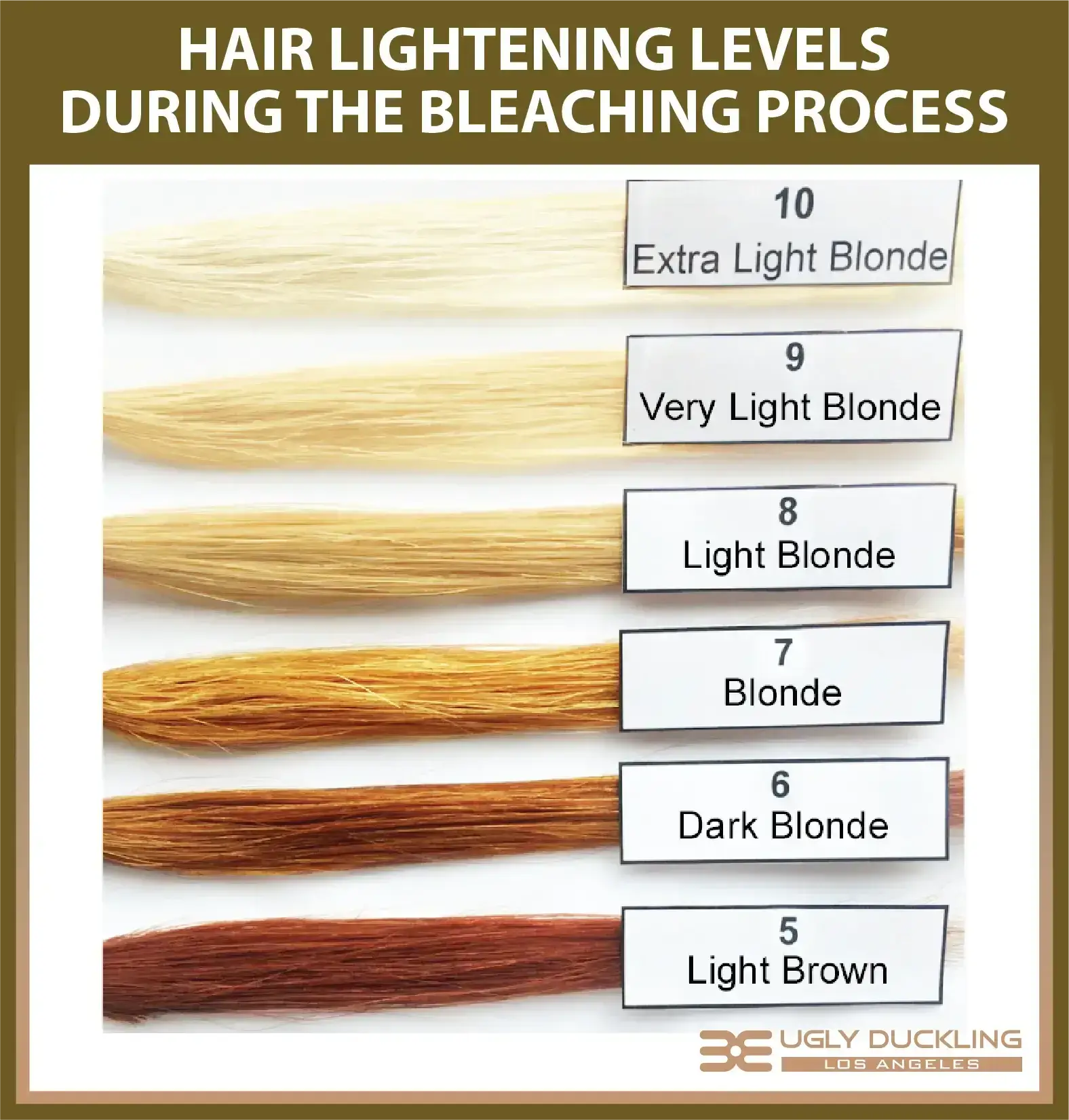 How To Get Perfect Highlights: The Ideal Ratio Of Bleach To Developer