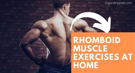 Rhomboid Muscle Workout