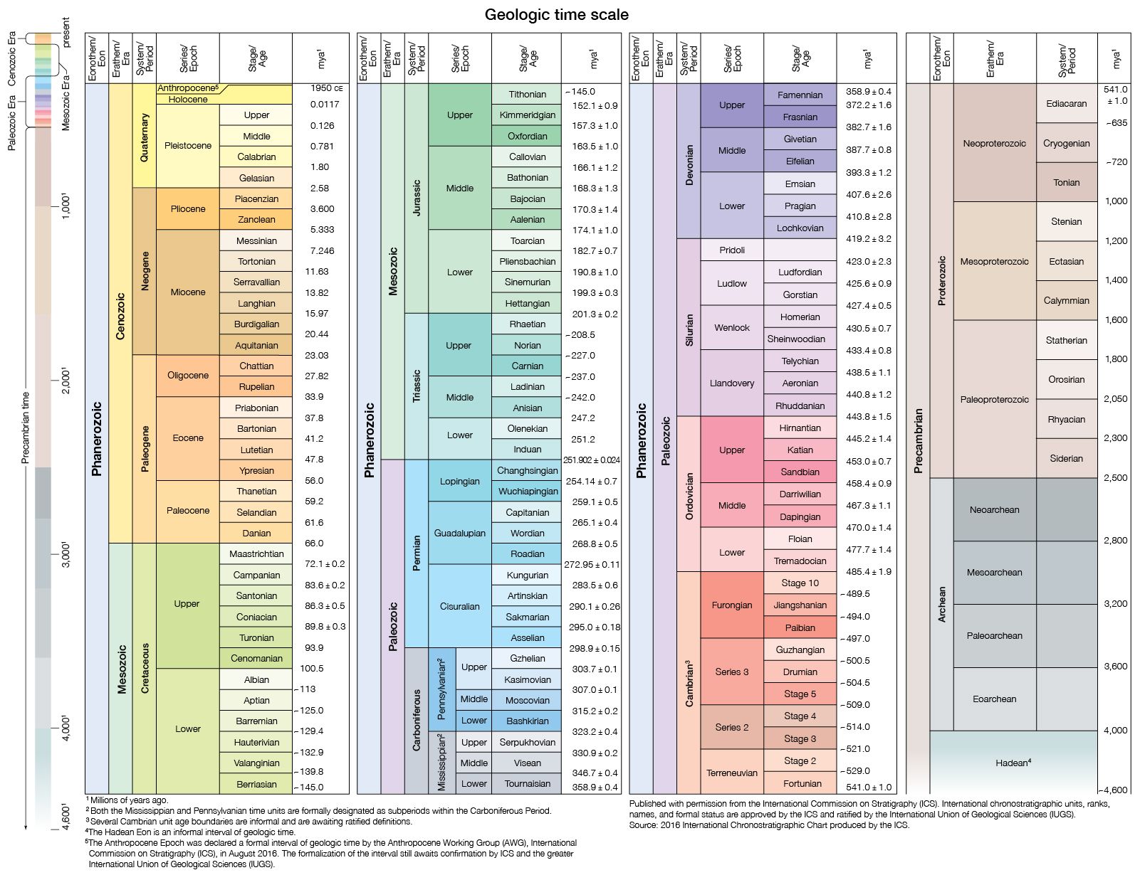 Scale Of Life
