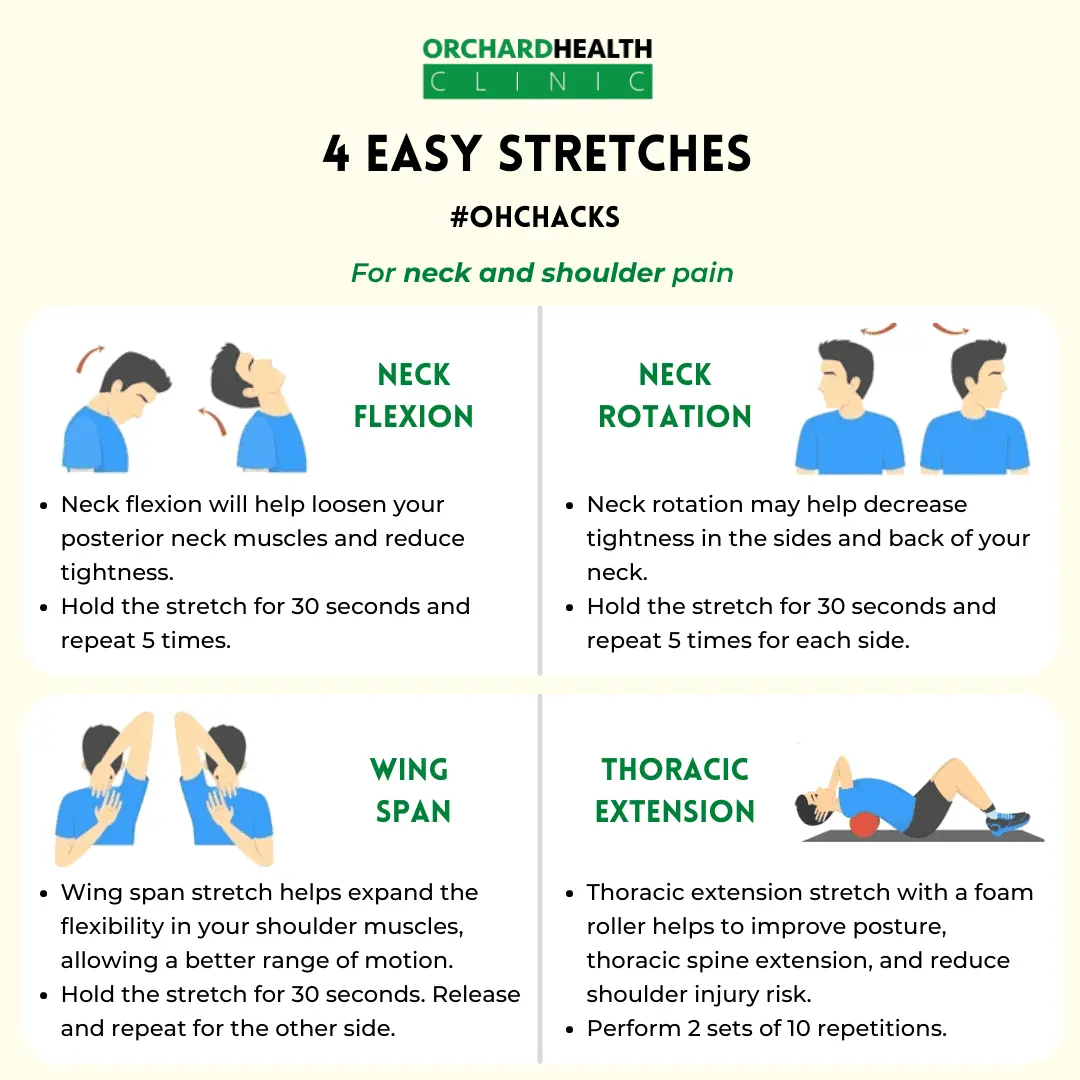 Seated Row Muscles Worked