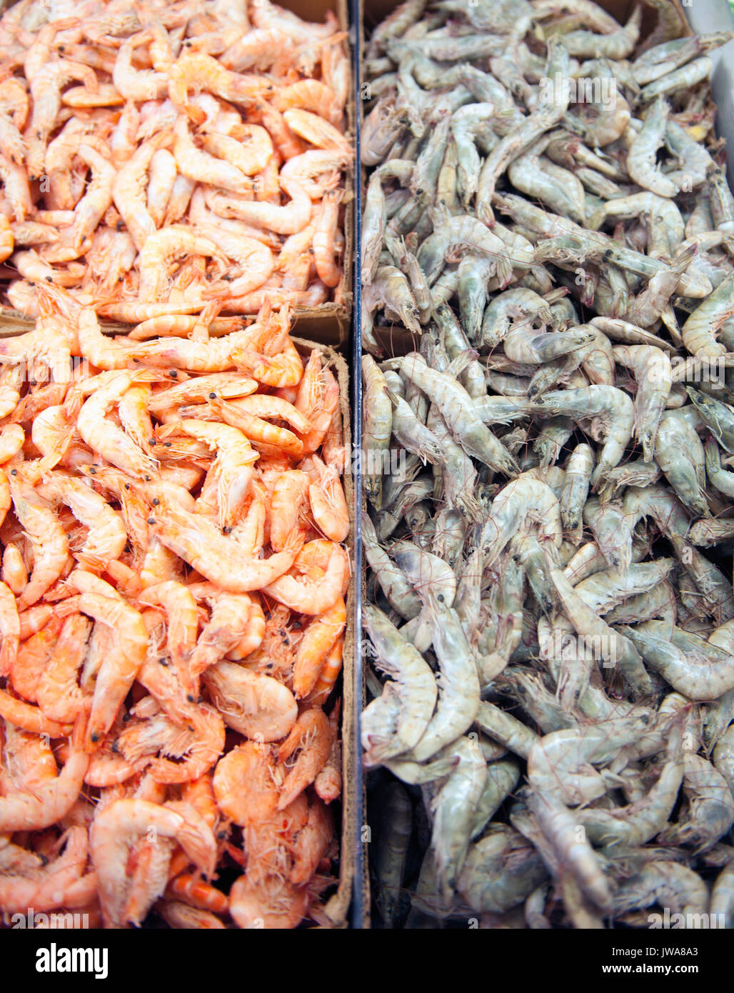 Shrimp Calorie Count