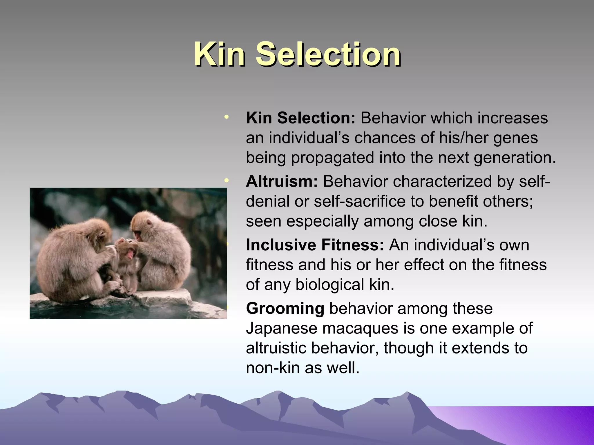 Human Nature In Our Next Of Kin: Understanding Social Behavior In Primates