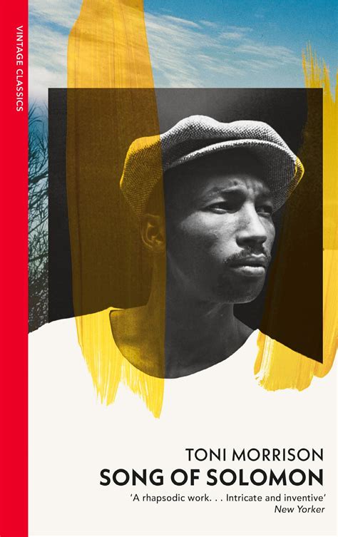 Unlock Mysteries in 'Song of Solomon Book'