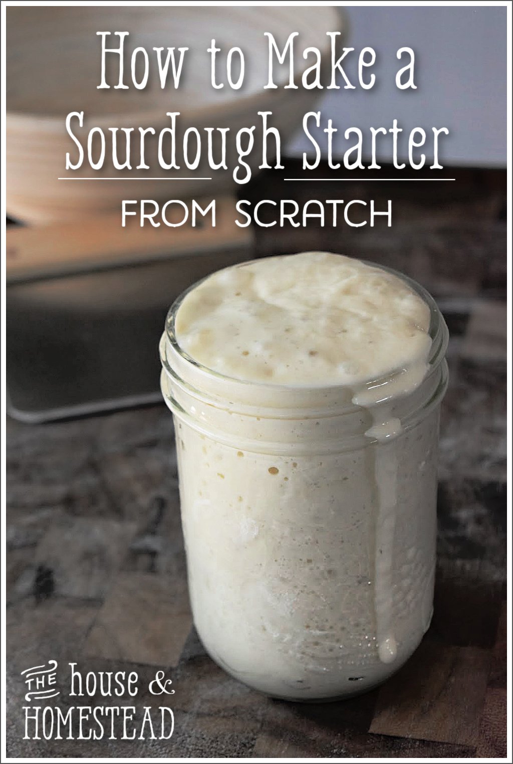 Sourdough Bread Does It Contain Yeast