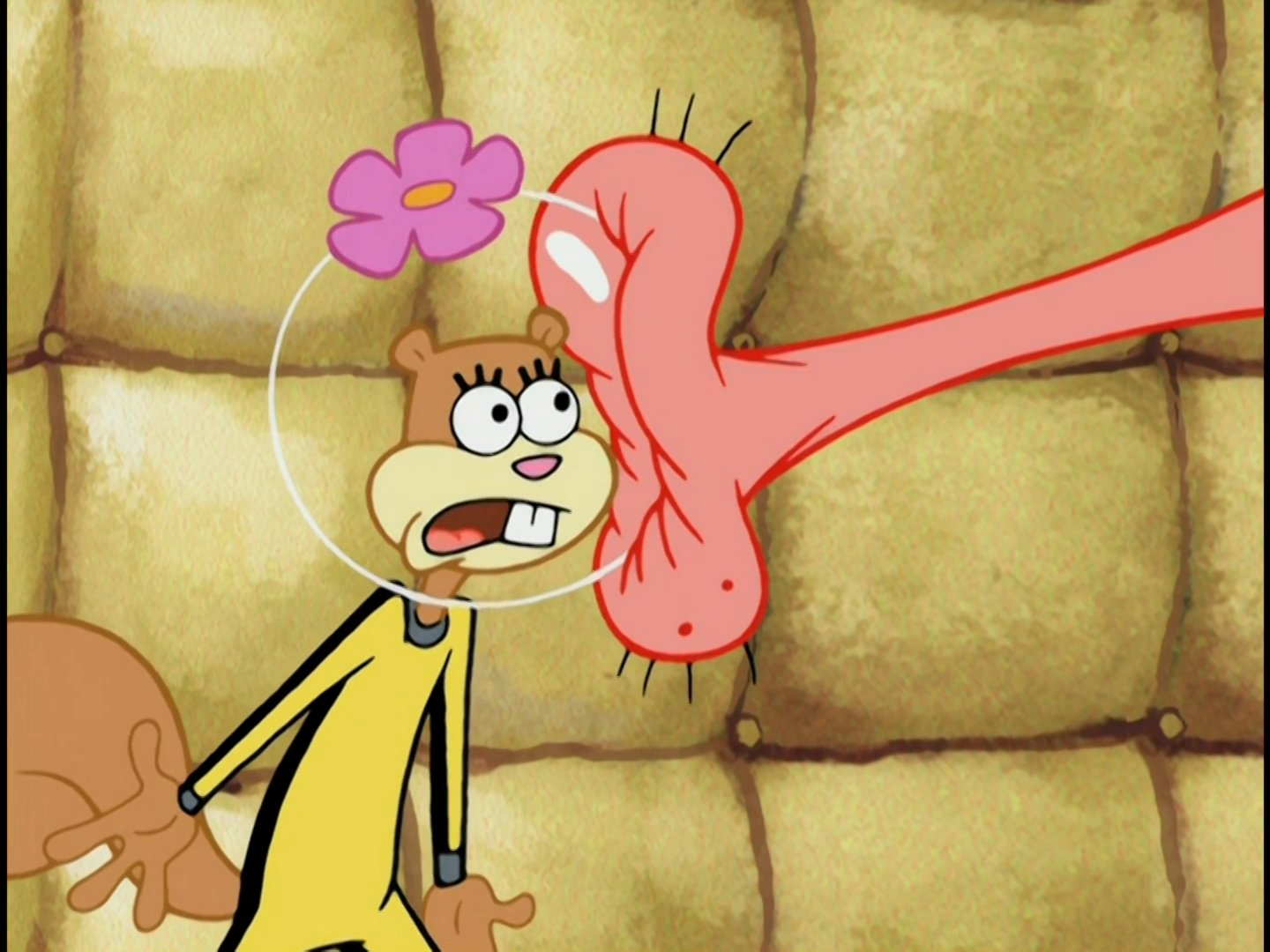 Spongebob Sandy Sex