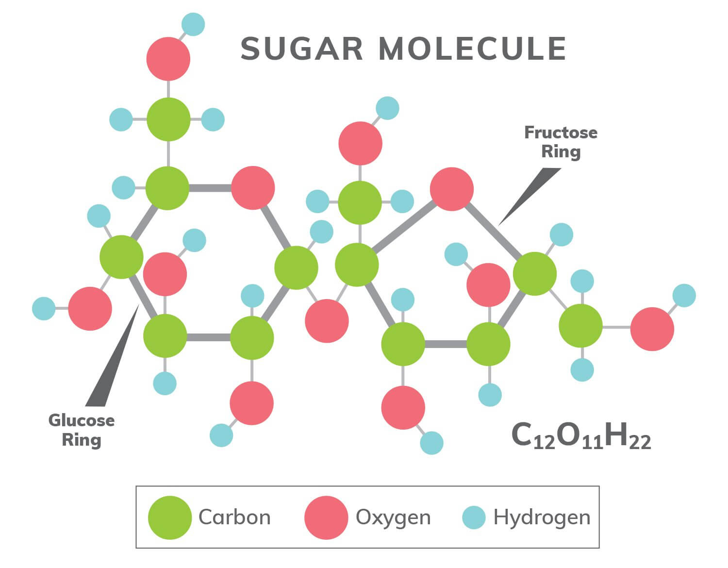 Structure Of Proteins