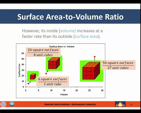Surface Area Ratio Secrets Revealed