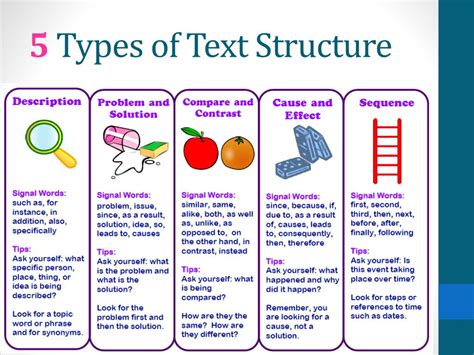 Best Text Structure Examples Revealed!