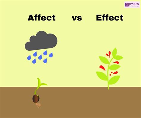 The Difference Between Affect And Effect