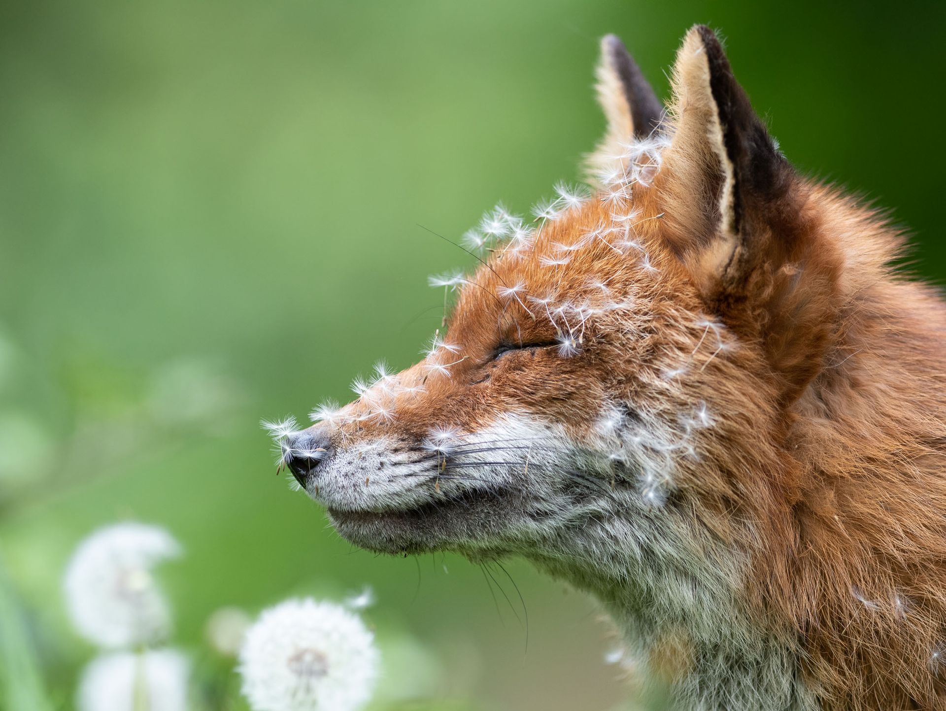 30 Stunning Things Found In Nature That Stun The Senses