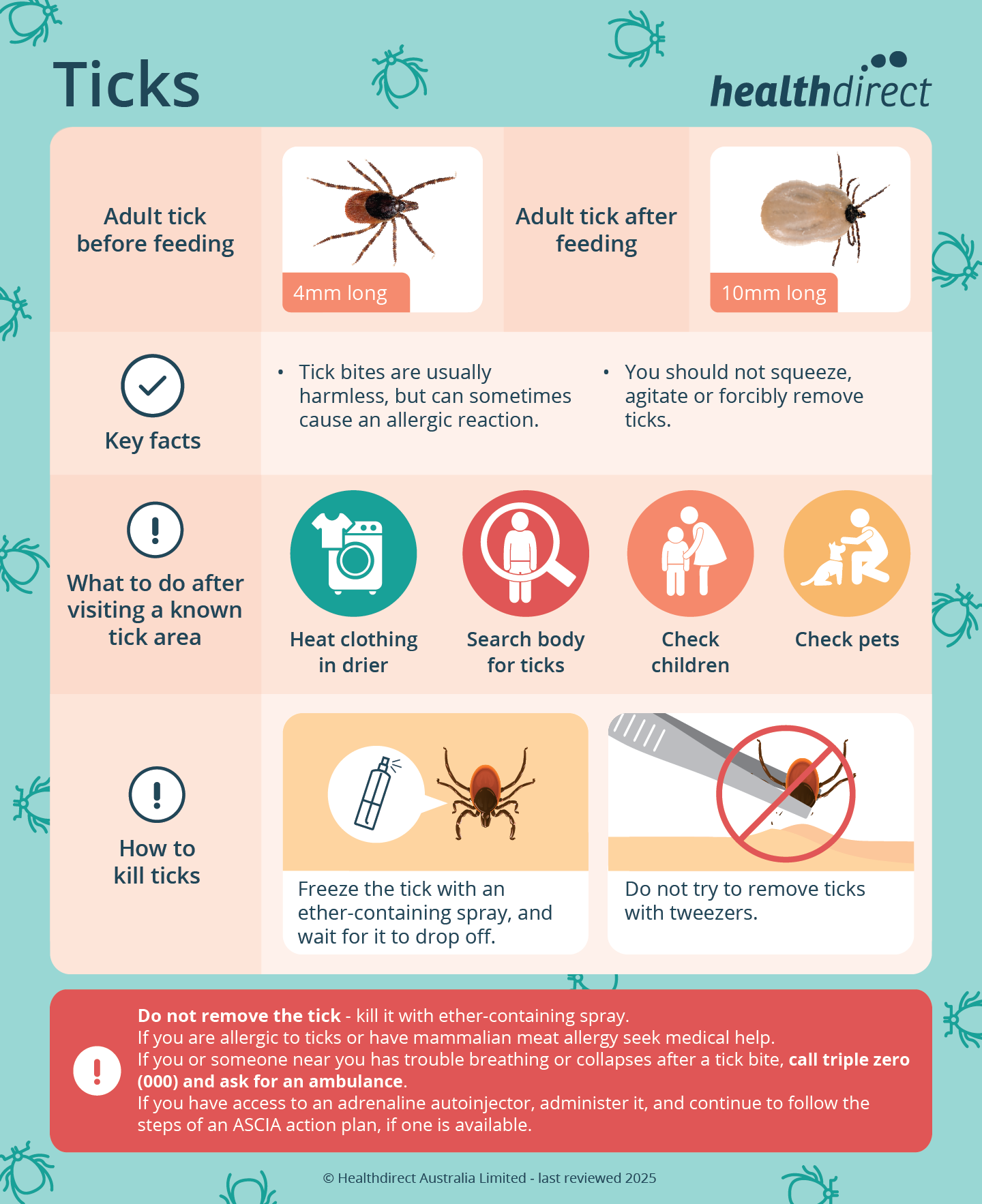 Tick With White Spot
