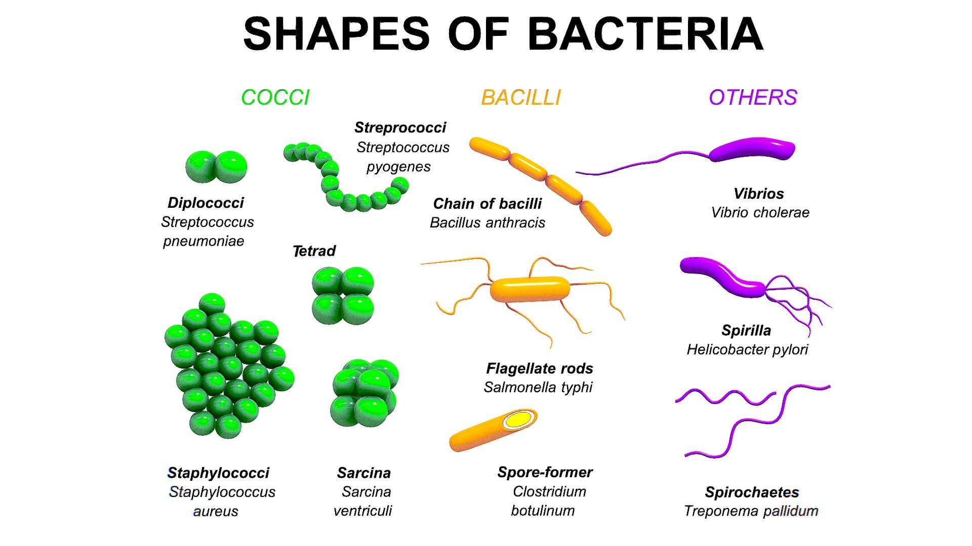 Tipos De Anemia