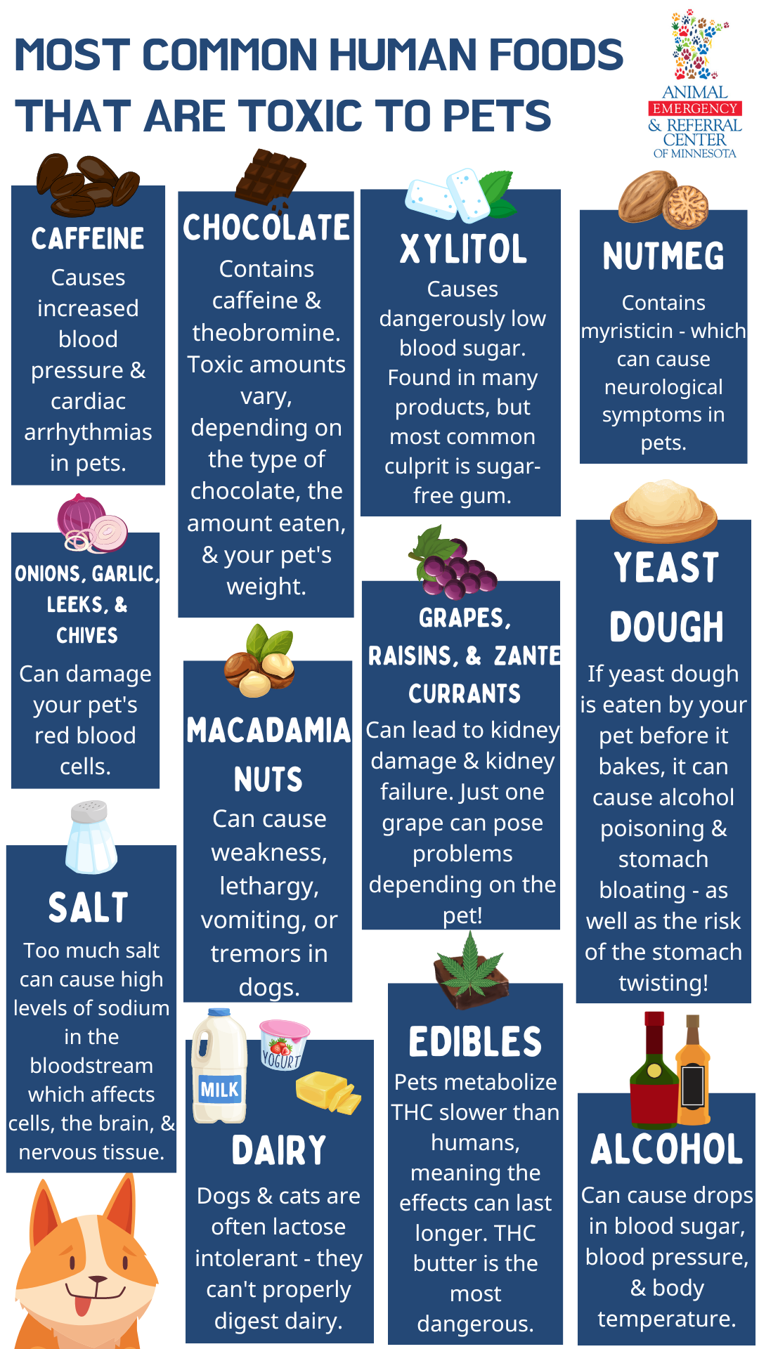 What Everyday Items Are Toxic To Animals