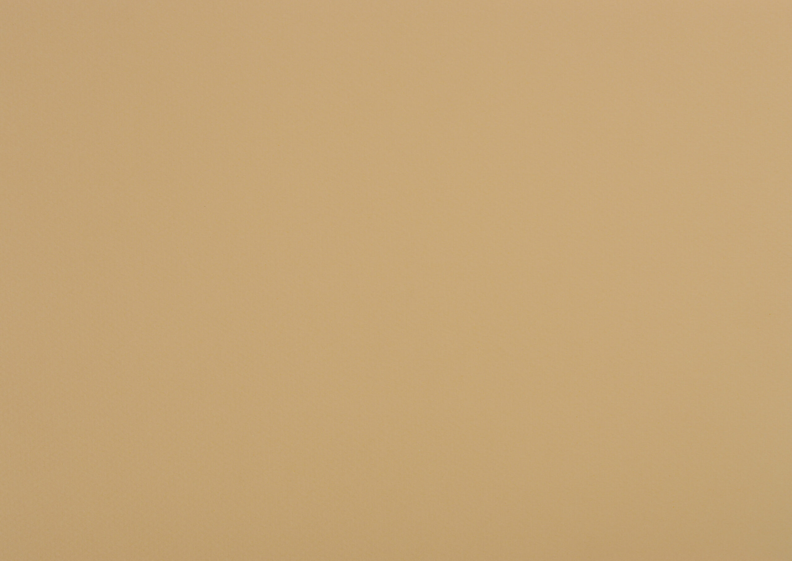 Tribal Dragon Tattoo