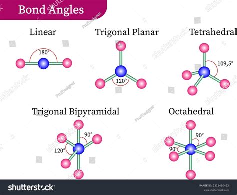 Unveiling Trigonal Bipyramidal Molecular Geometry Secrets